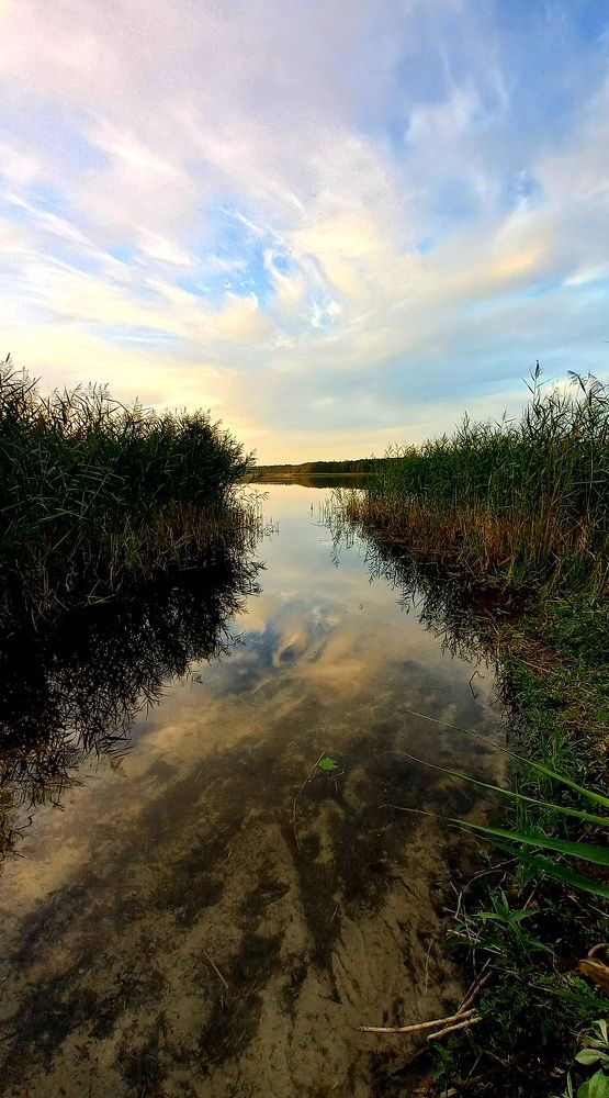 Photograph by Диана Хитрикова
