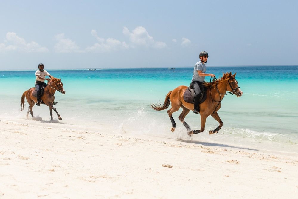 Photograph by Екатерина Затонская