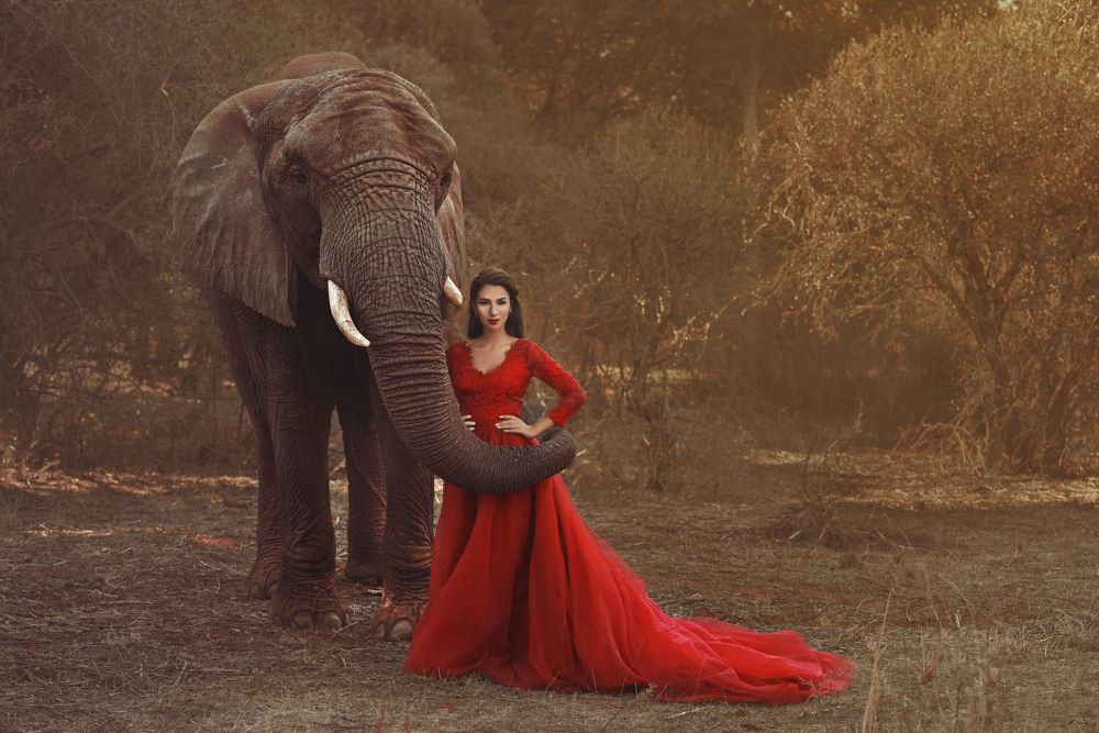 Photograph by Theresa Sujata Senti