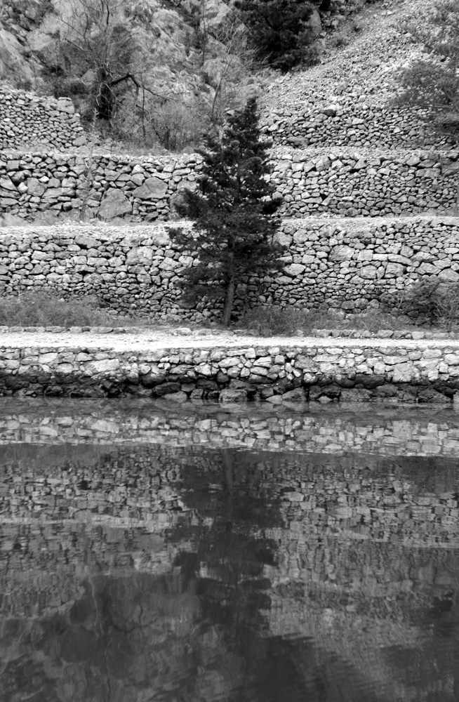 Photograph by Damir Gržin