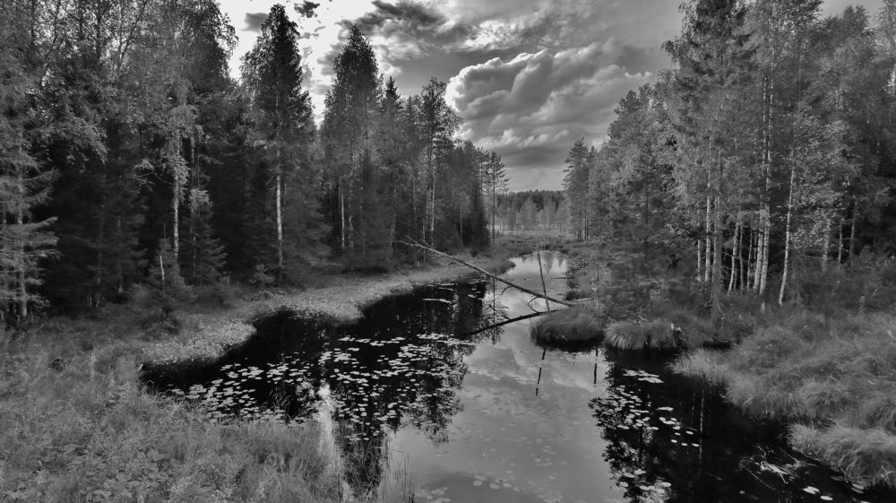 На природе.