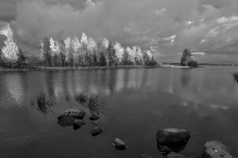 Осенний мотив.