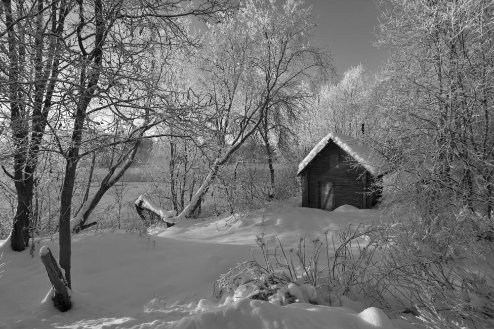 Зимний день.