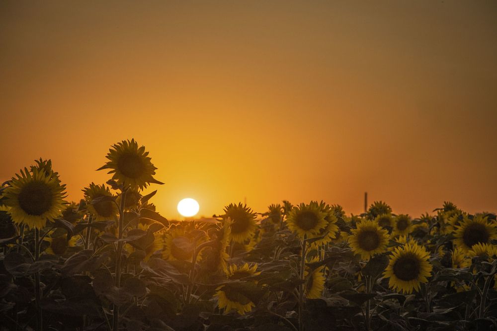 Photograph by Гена Таран