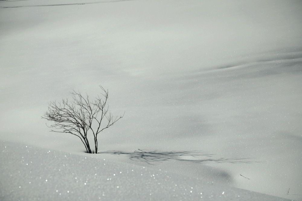 Photograph by Лада Денисова