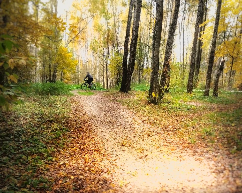 Photograph by Tatyana Markova