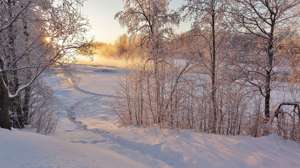 Навстречу солнцу.
