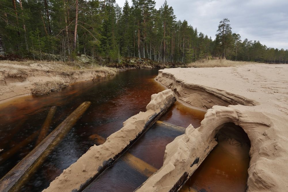Майский дождь.