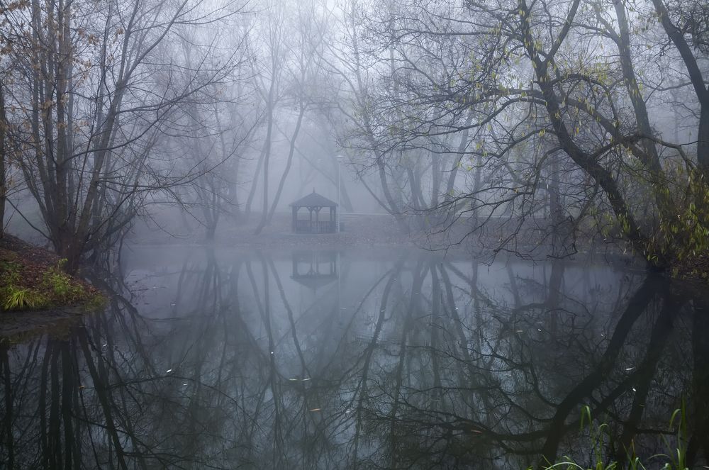 Фотография автора Dmitry Finkel