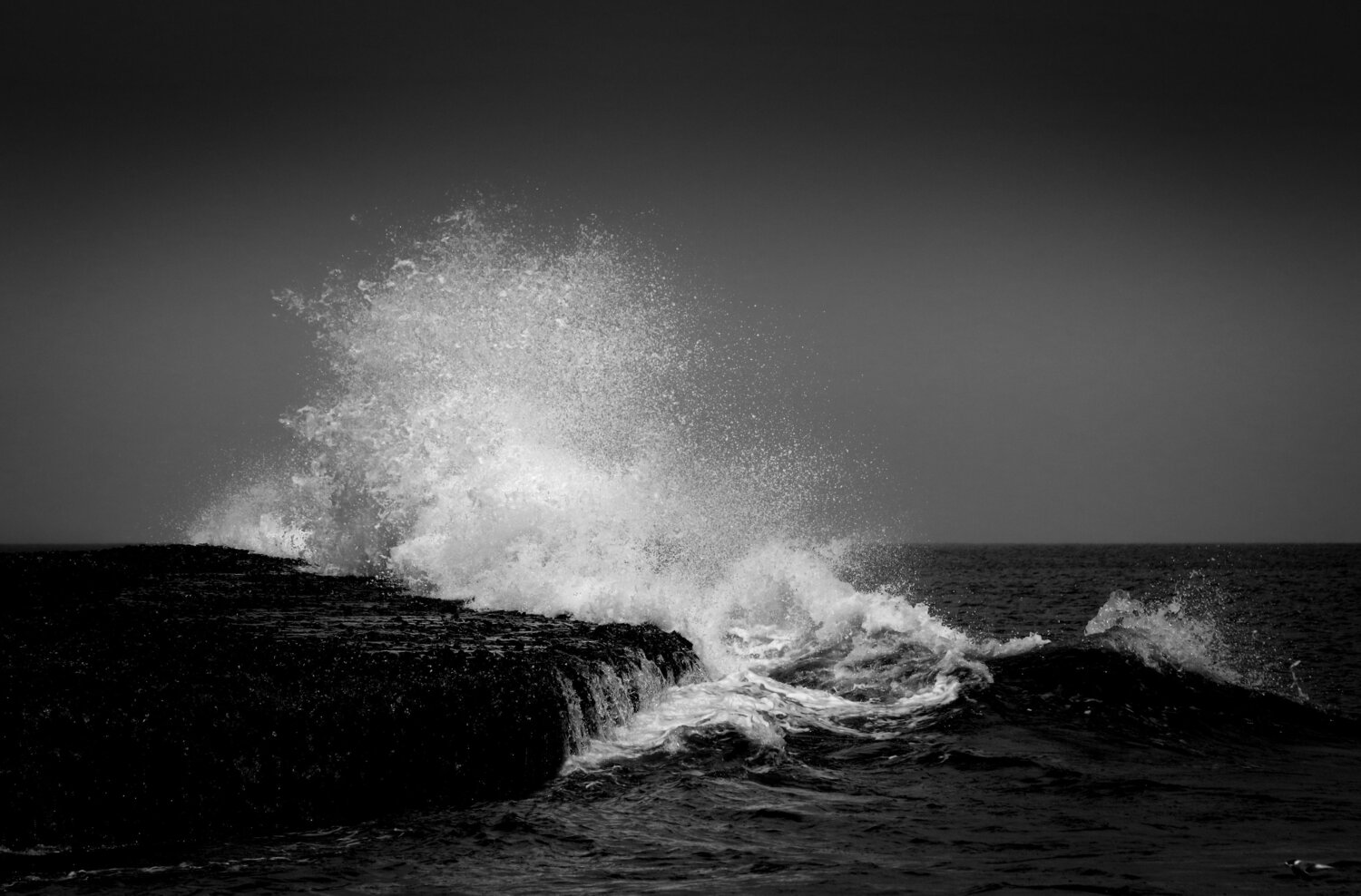 Photo #7269613