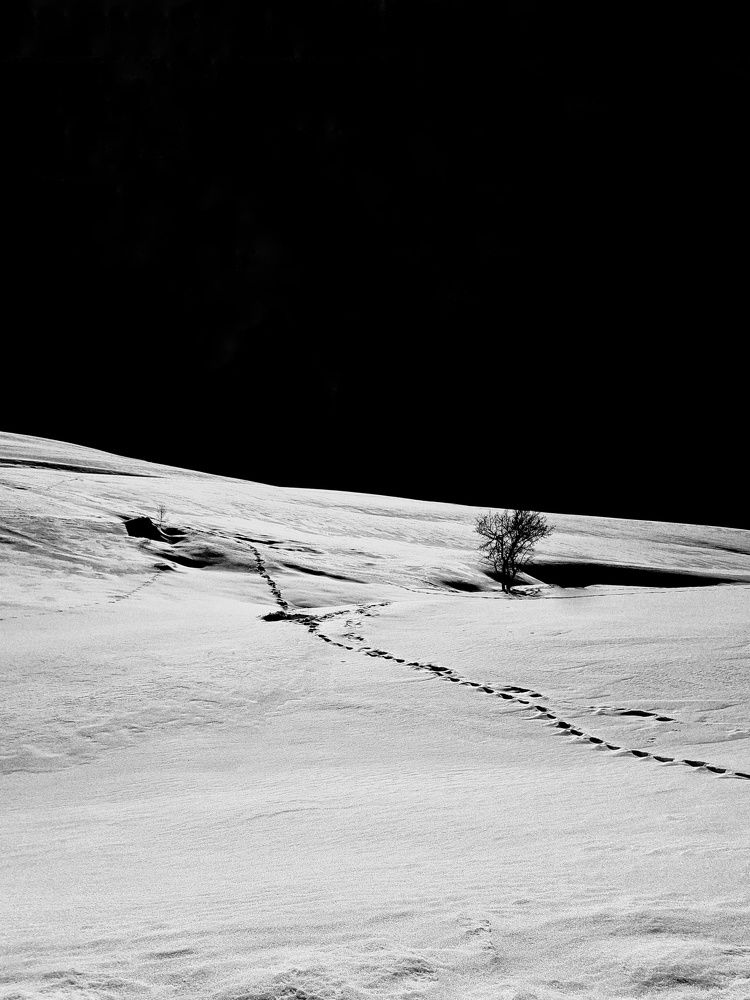 Photograph by Mohammadzaher Mohyadini