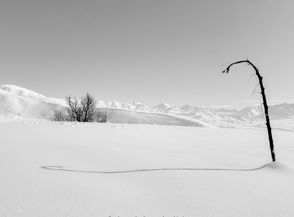 Black and white mobailgraphy