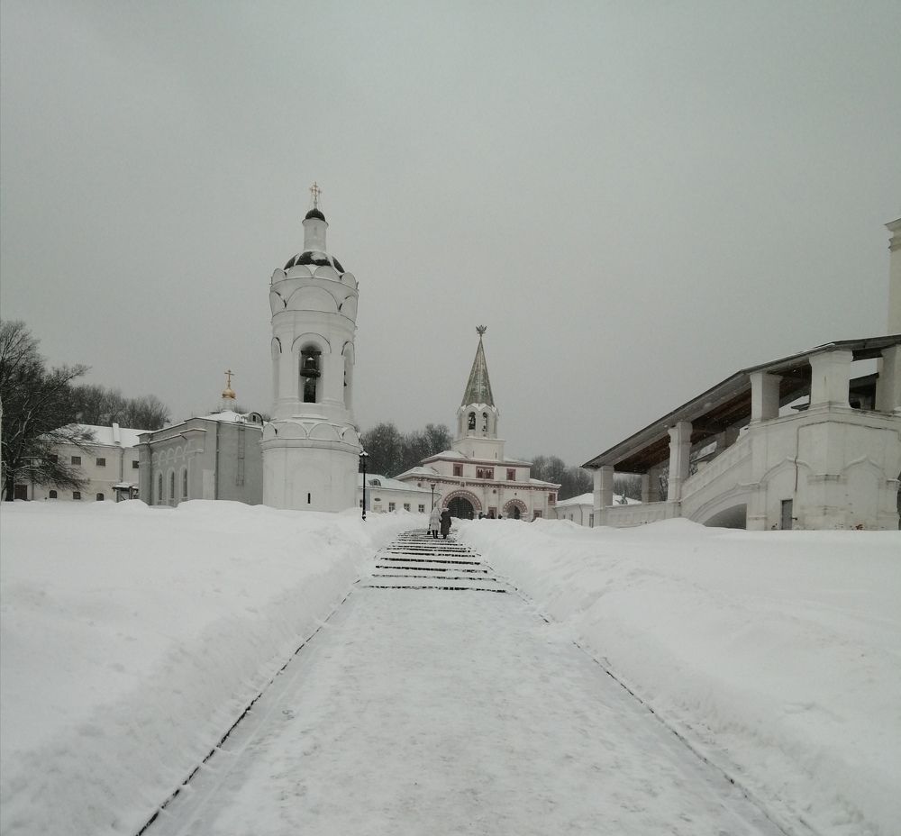 Photo #7269678