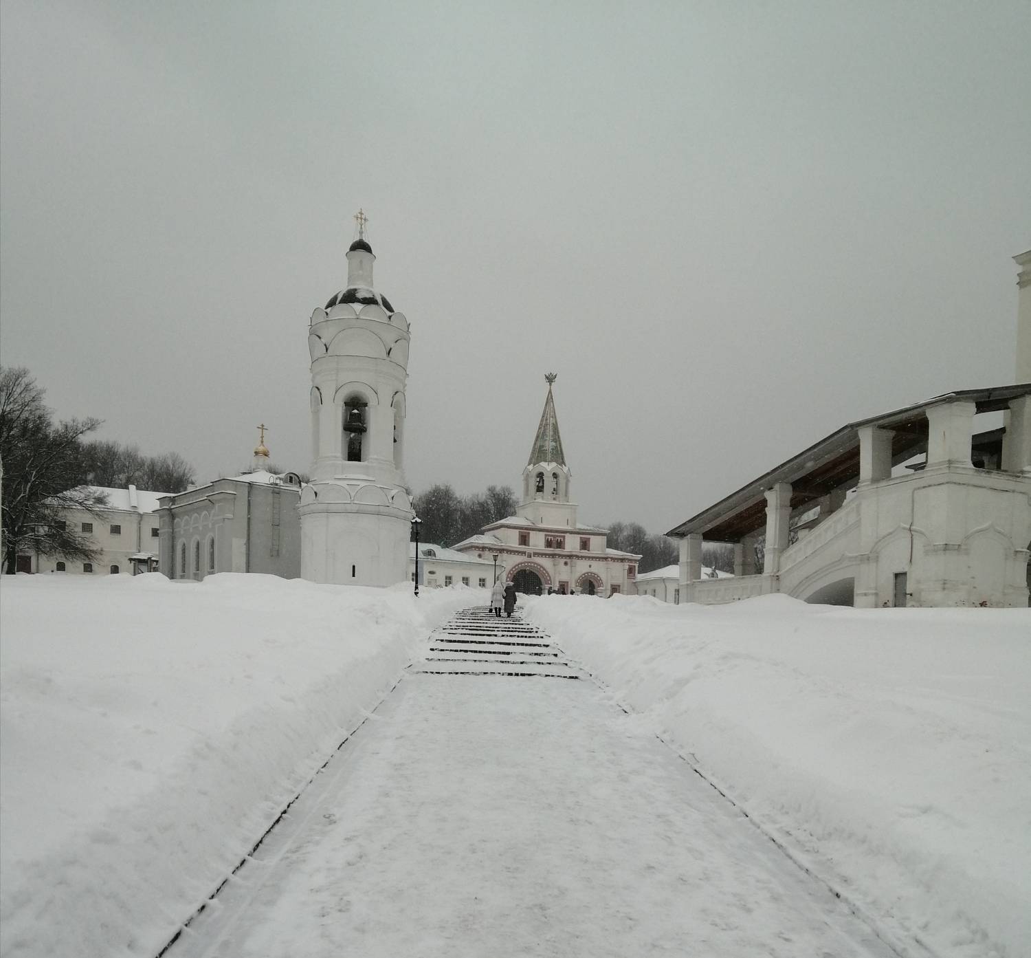 Photo #7269678
