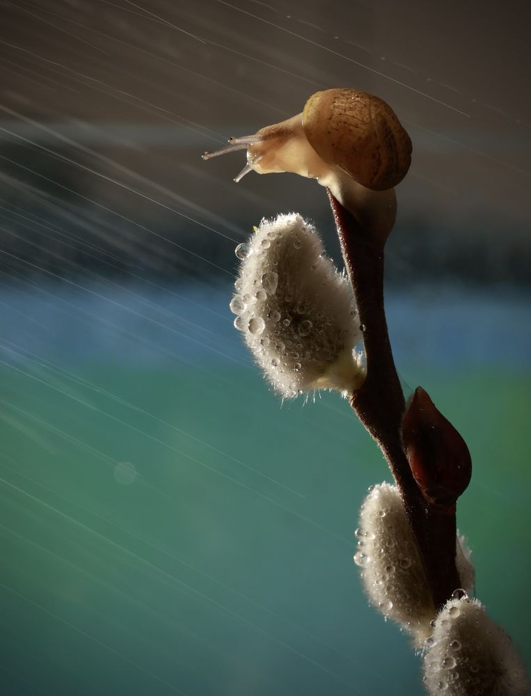 Photograph by Малика Маткарим