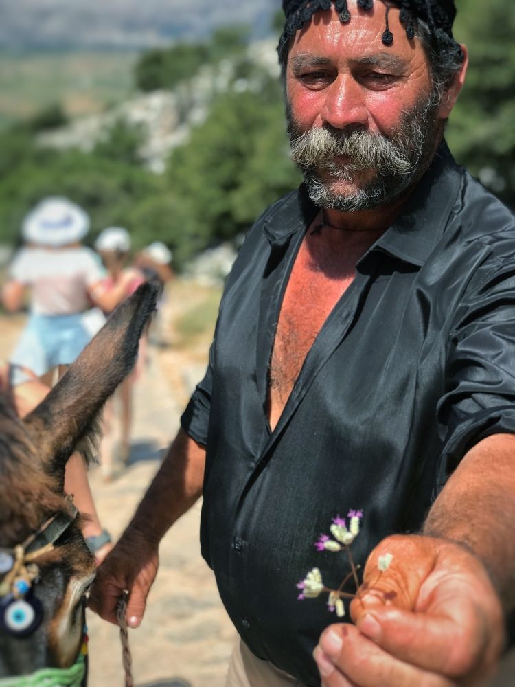 Фотография автора Клюева Ольга