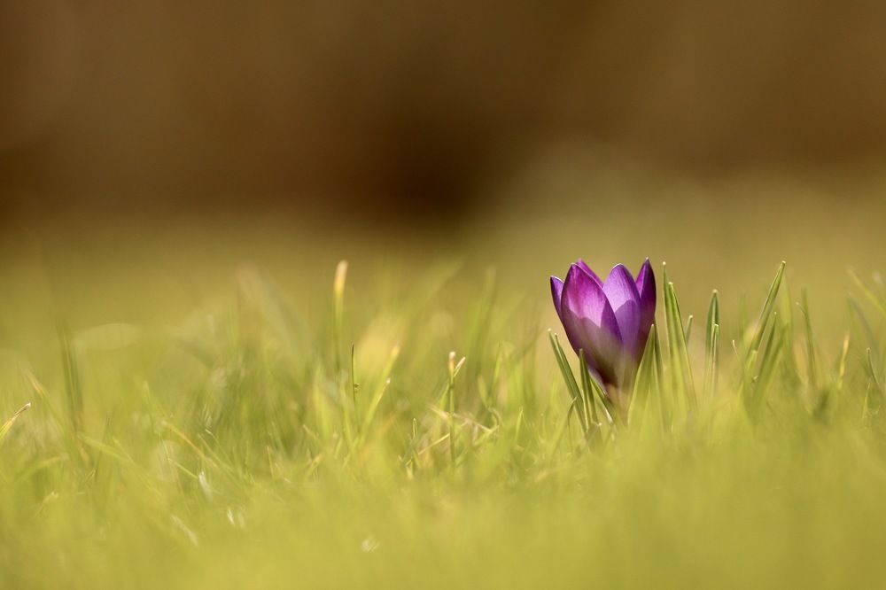 Photograph by Малика Маткарим