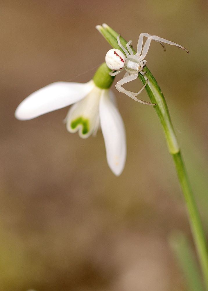 Photograph by Малика Маткарим
