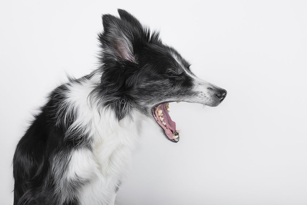 Фотография автора Alicia Mate