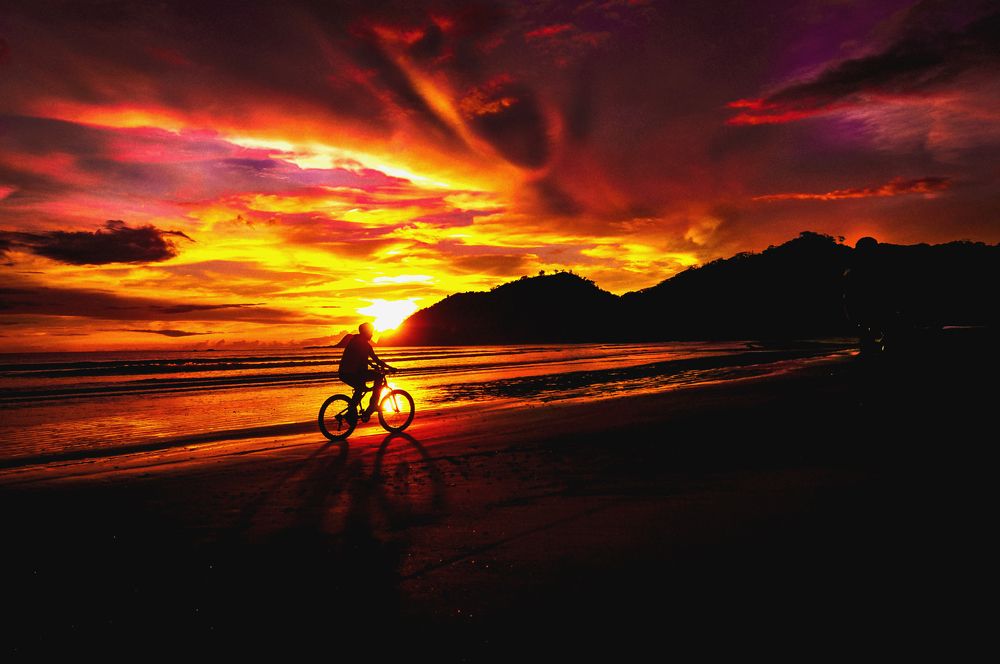 SOMBRAS EN EL GRITO DEL CIELO