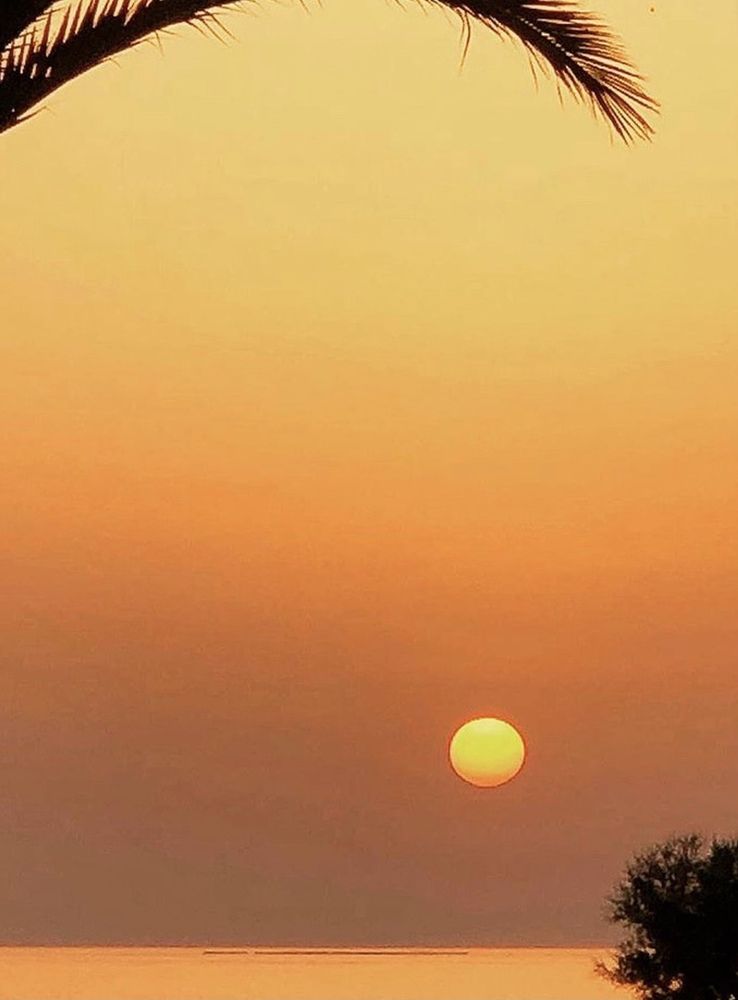 Photograph by Теодора Милекич