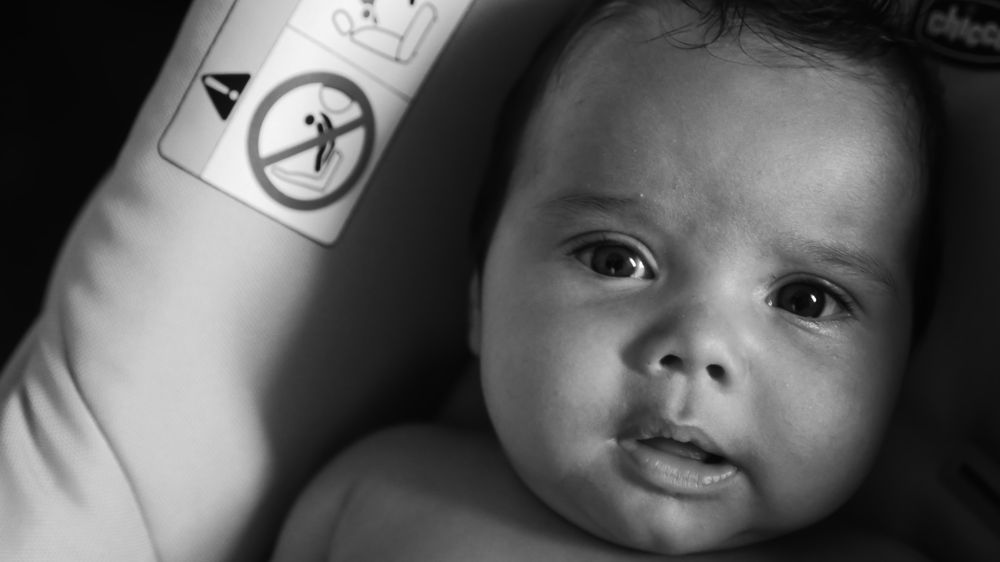 Photograph by João Paradela