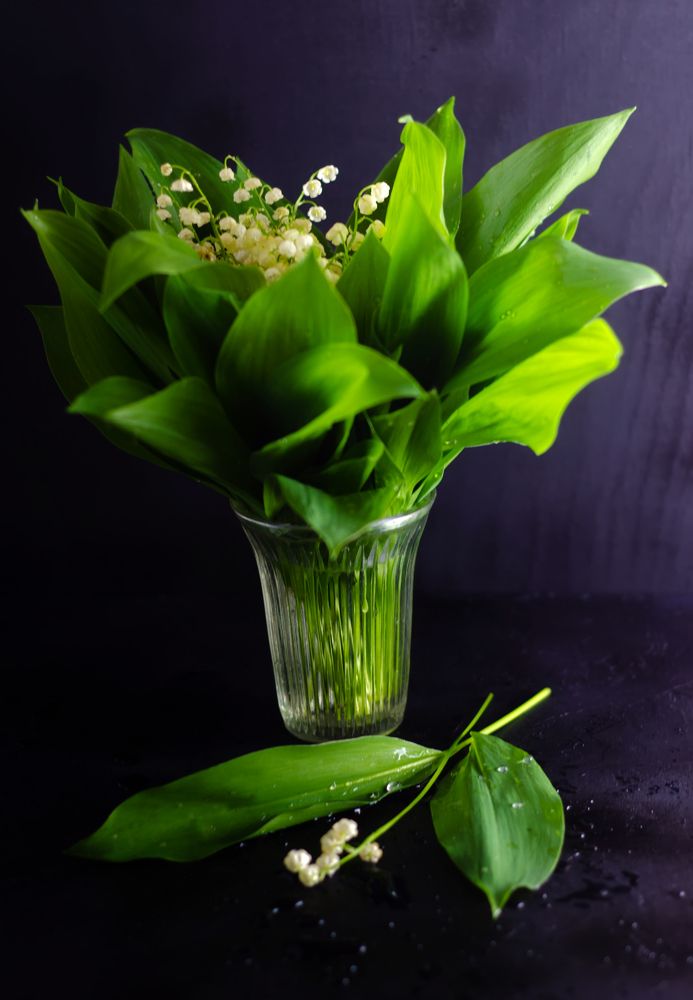 Photograph by Наталия Иванова