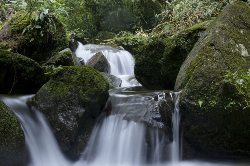 Photograph by Maria de los Angeles Osorio