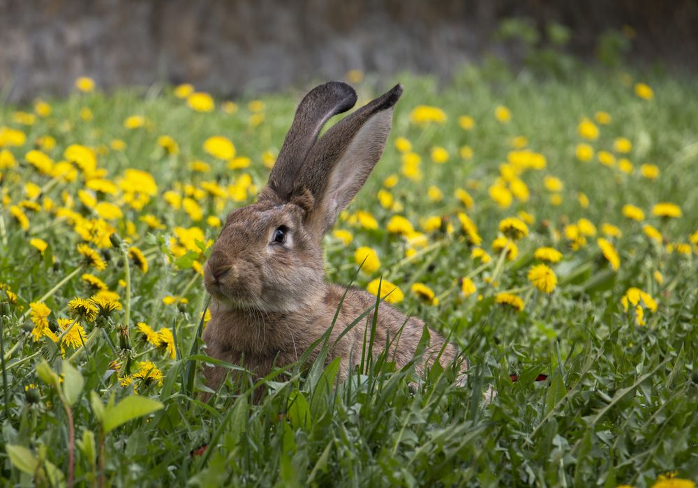 Photograph by Татьяна Ярмак