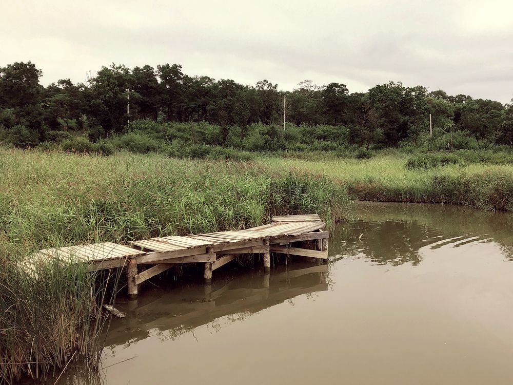 Photograph by Ксения Соснина