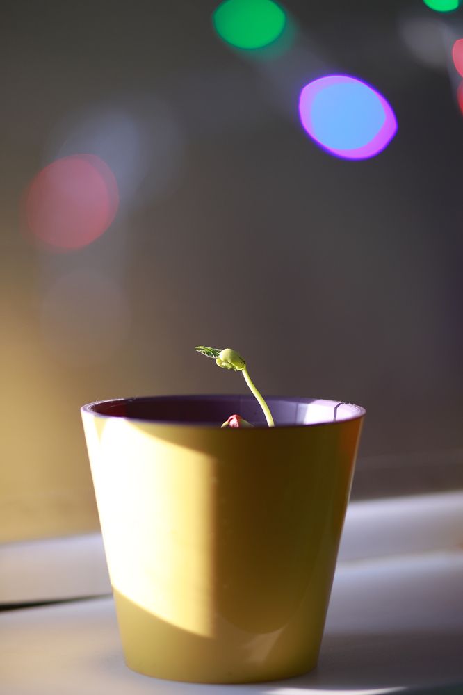 Фотография автора Александра Асаулко