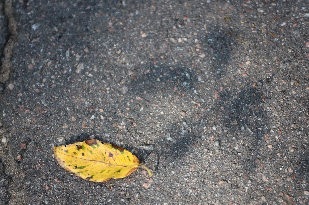 Photograph by Dmitriy Marchenko