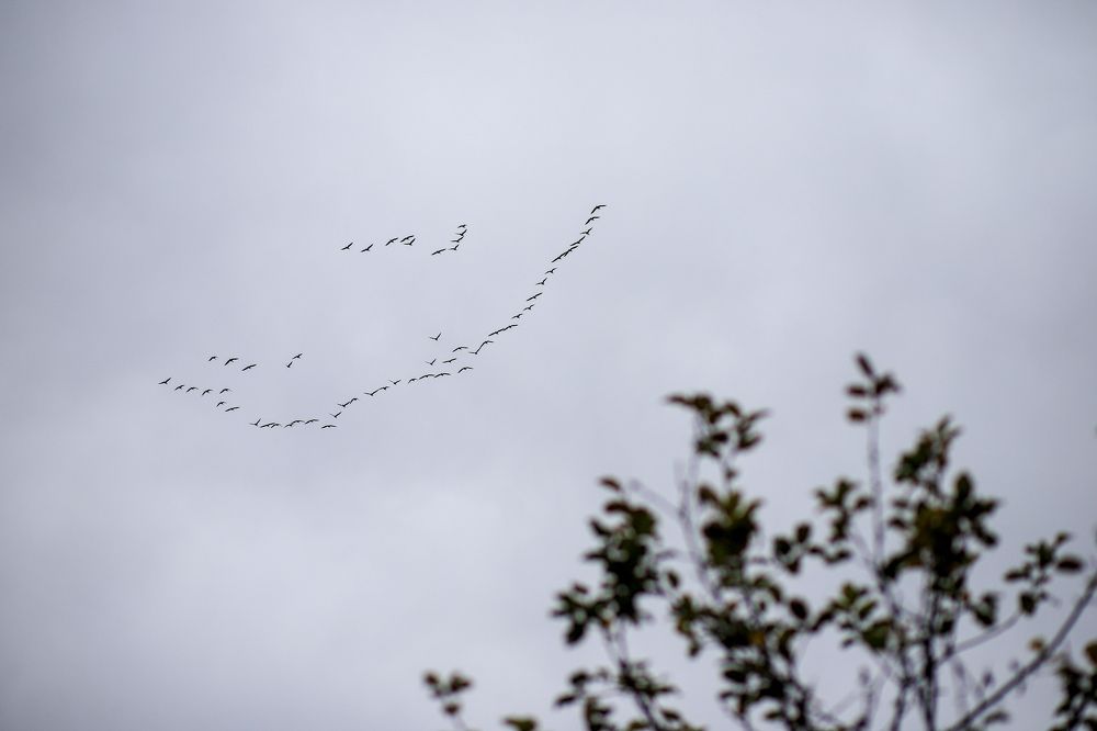 Фотография автора Александра Асаулко