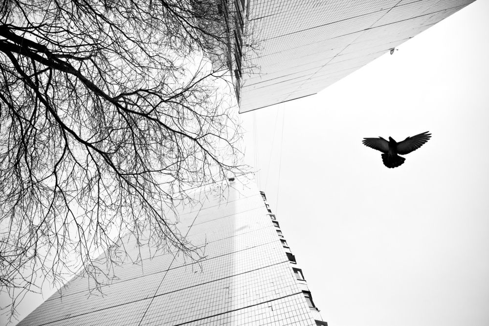 Photograph by Алексей