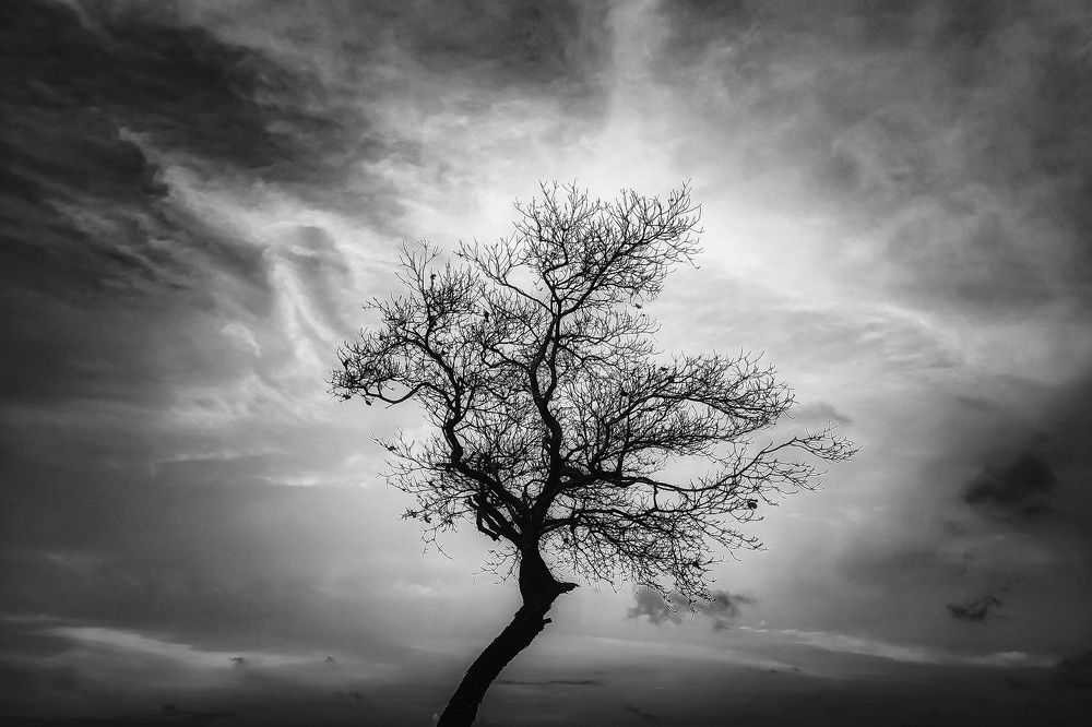 Photograph by John Paul Qku