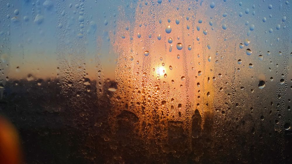 Photograph by Svetlana Victorovna Kibyakova