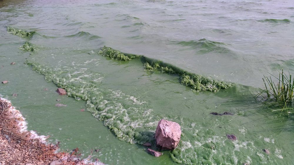 Photograph by Svetlana Victorovna Kibyakova