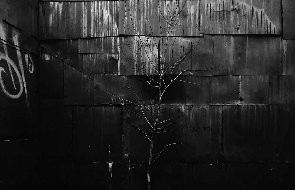 Photograph by Станислав Ситников