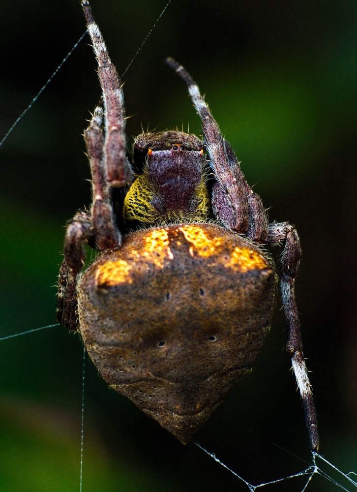 Photograph by rajesh therthala veedu