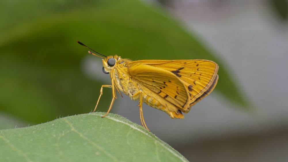 Photograph by Ng Max