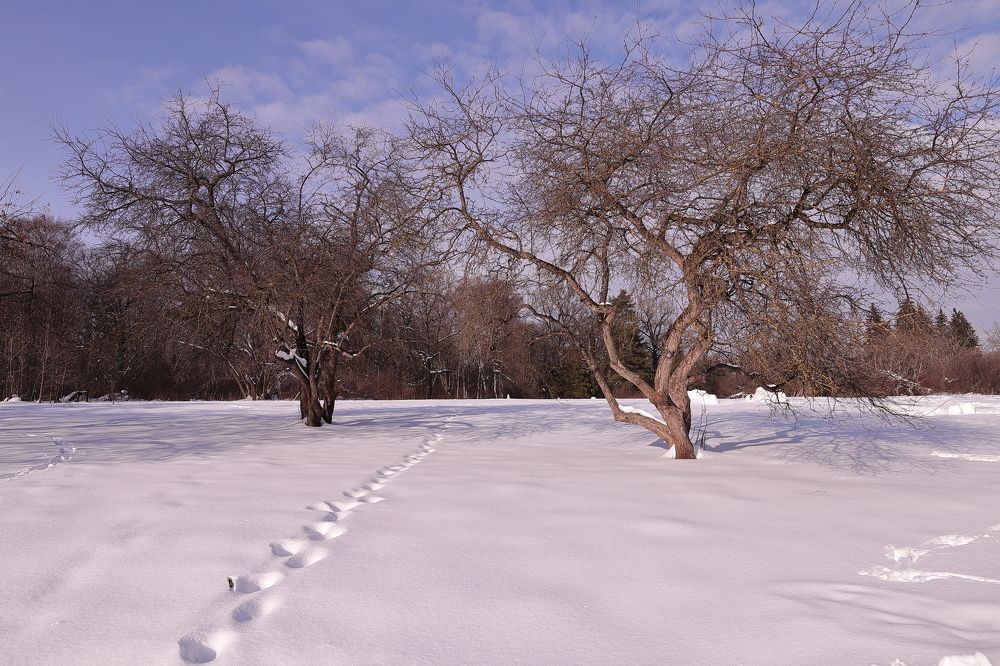 Photograph by Константин Лагоденко