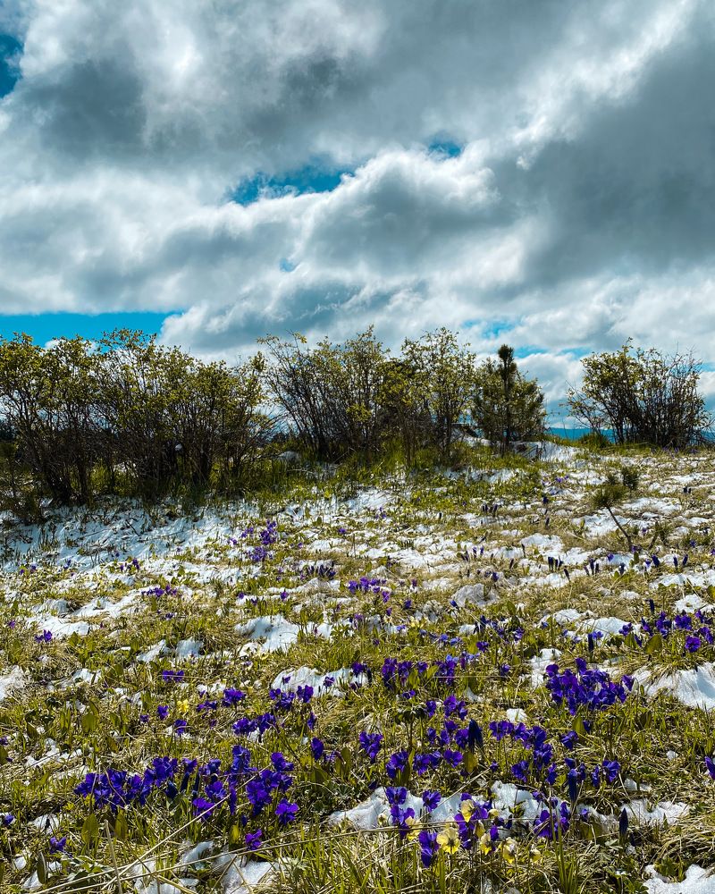 Photograph by Козинец Александр