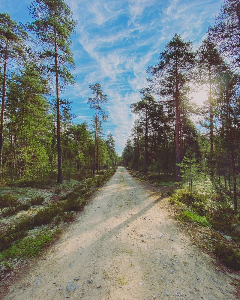 Photograph by Козинец Александр