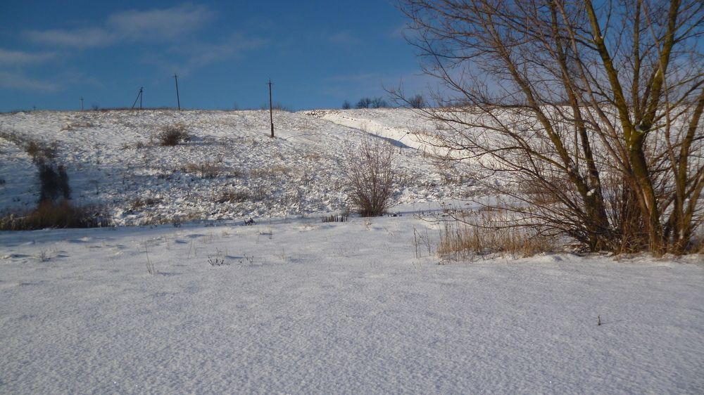 Photo #7270628