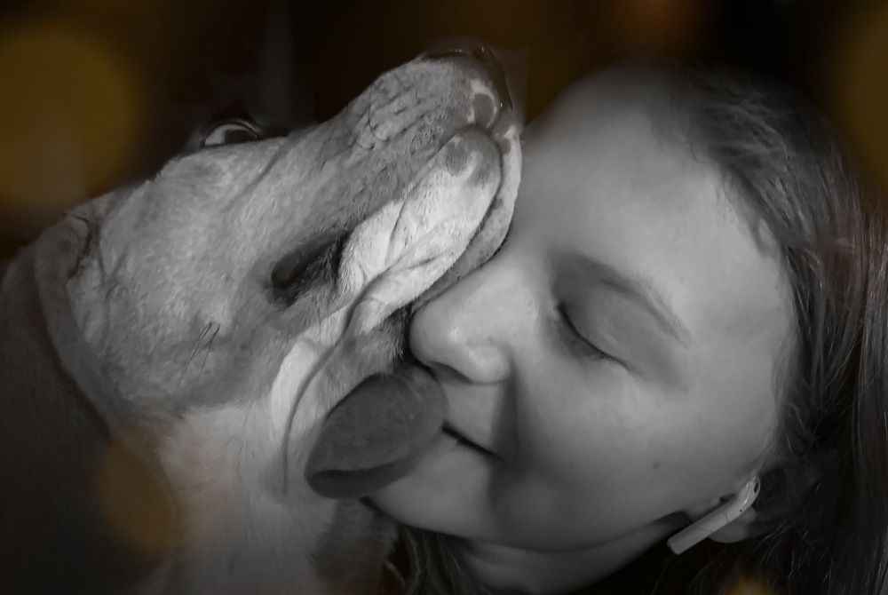 Photograph by Марина Хавронина