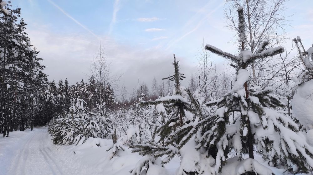 Фотография автора Наталья Сероглазова