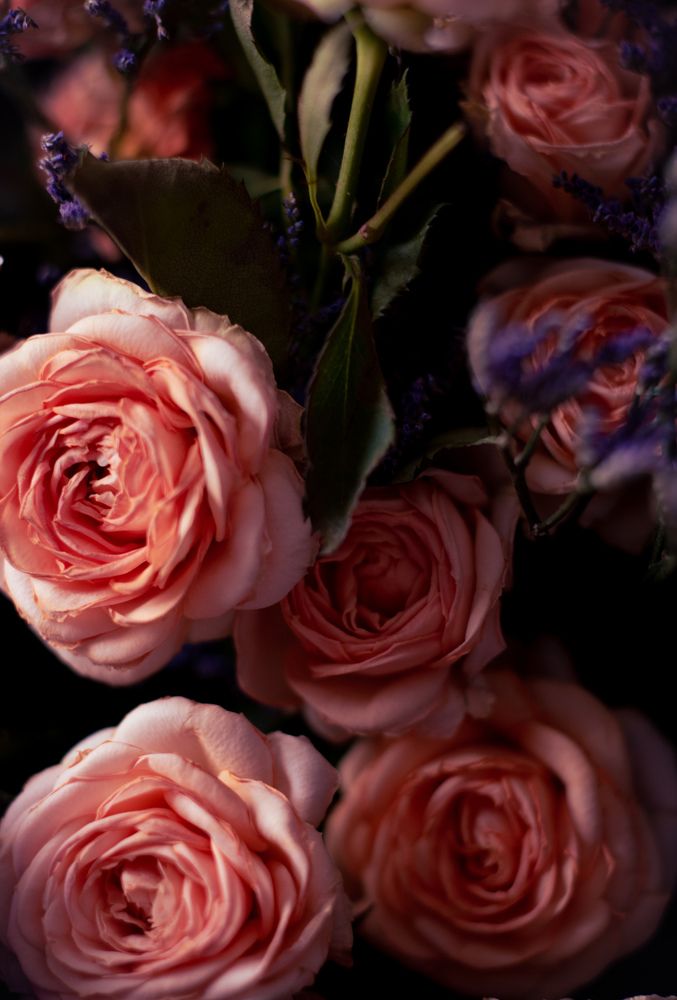 Photograph by Олег Зальвовский