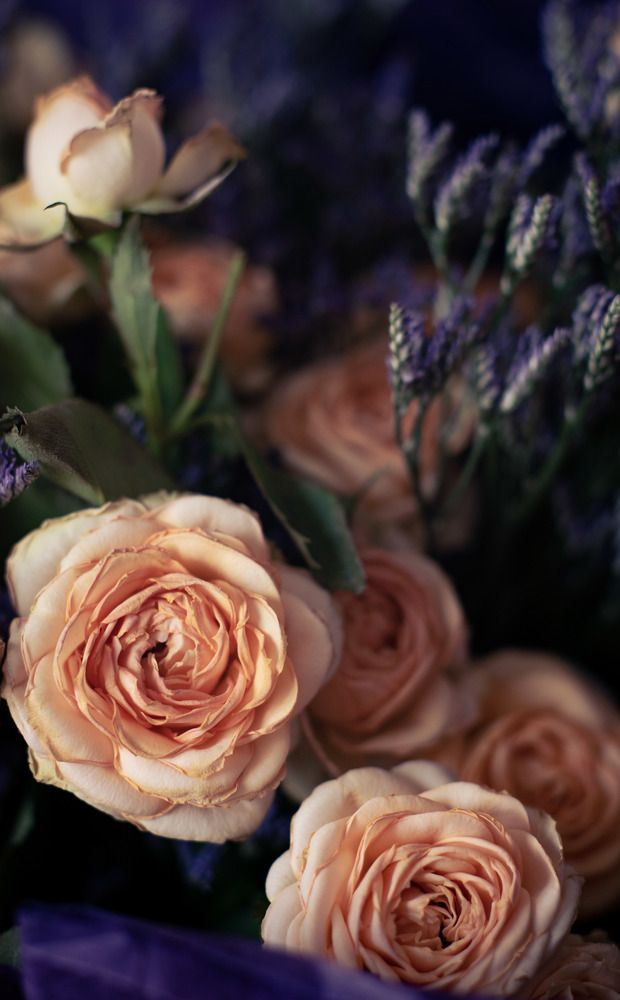 Photograph by Олег Зальвовский