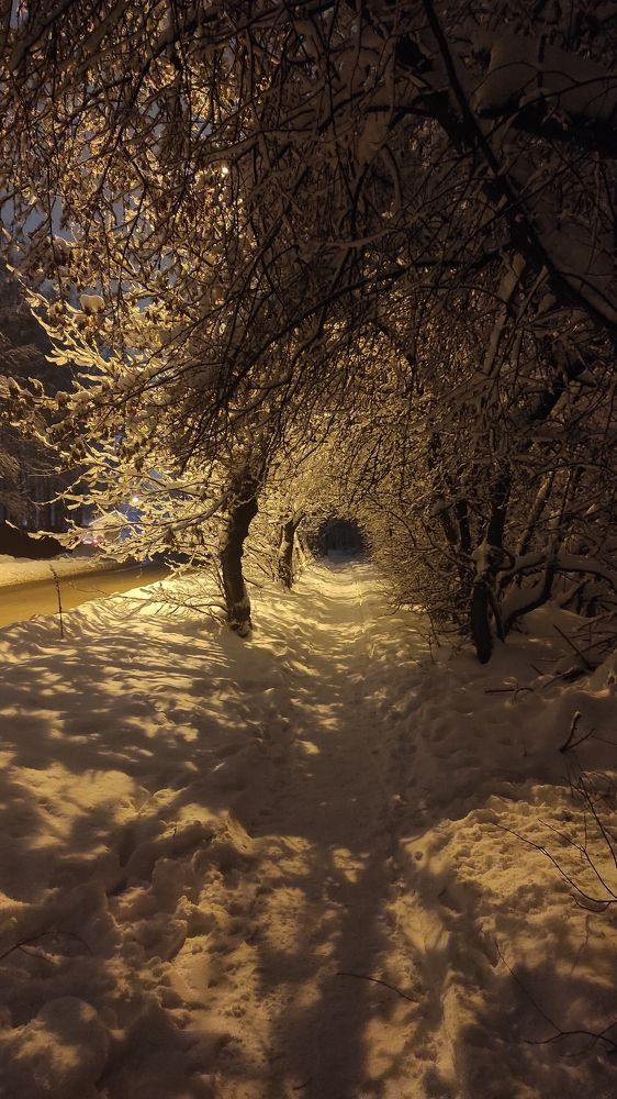 Фотография автора Наталья Сероглазова