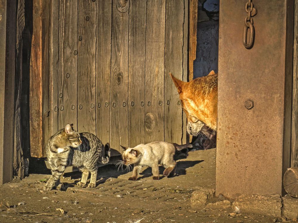 Photograph by Нина Будникова